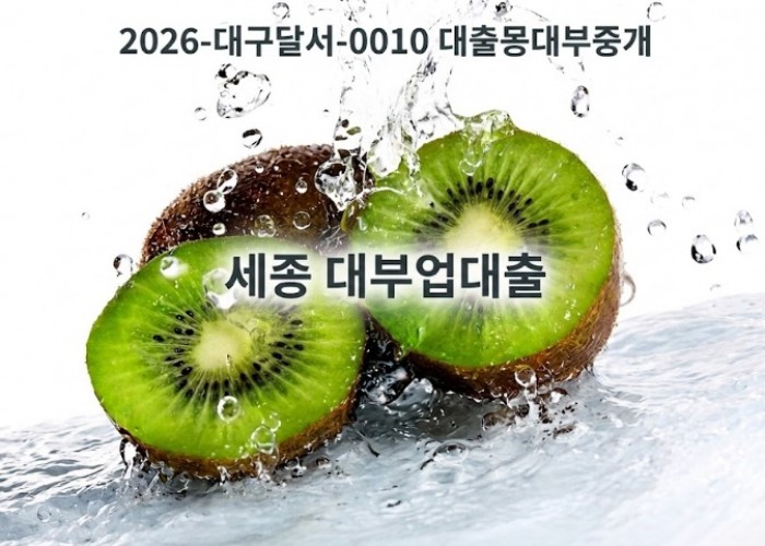 세종대부업.jpg
