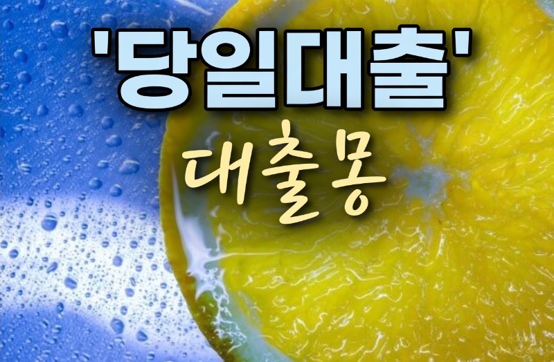 레몬당일대출.jpg