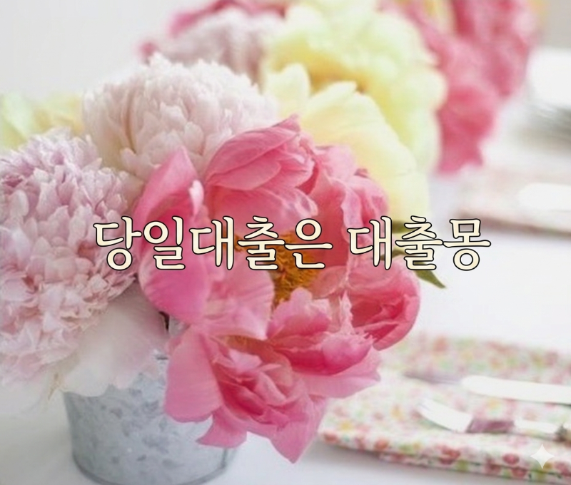 당일대출.png