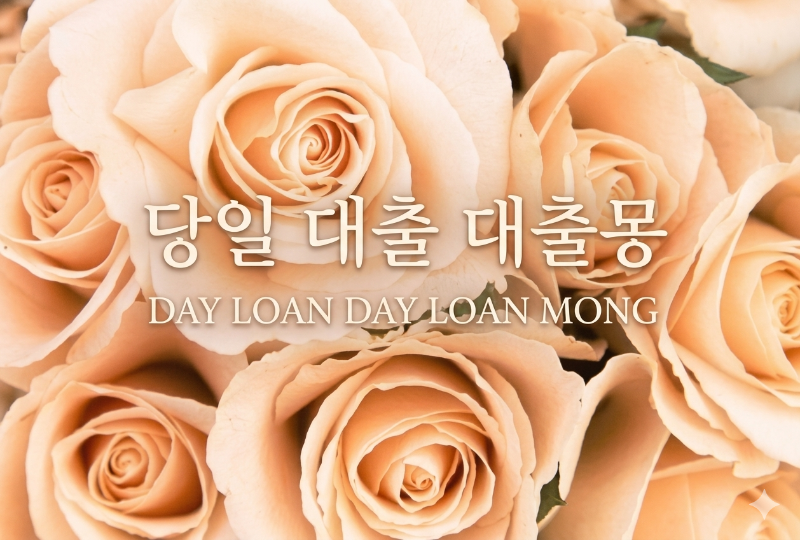 당일대출대출몽.png
