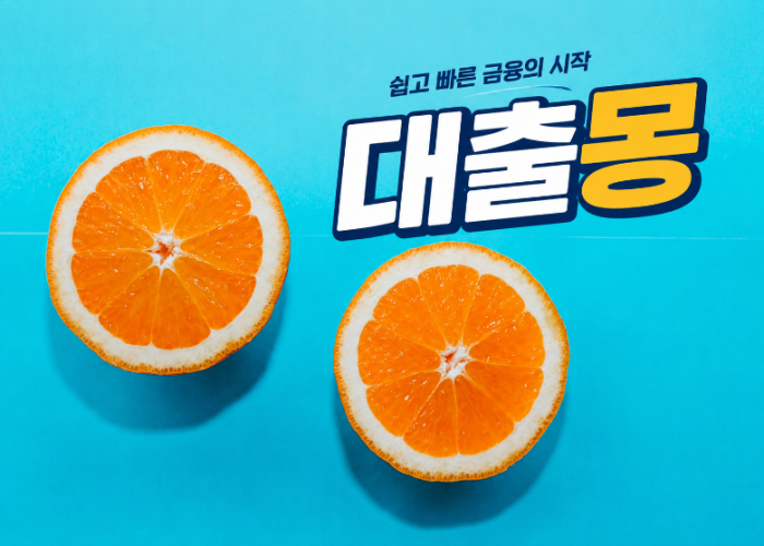 대출몽.png
