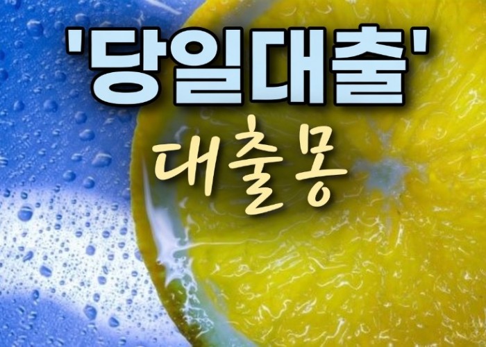 레몬당일대출.jpg