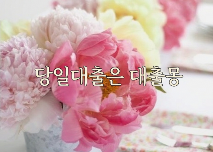 당일대출.png