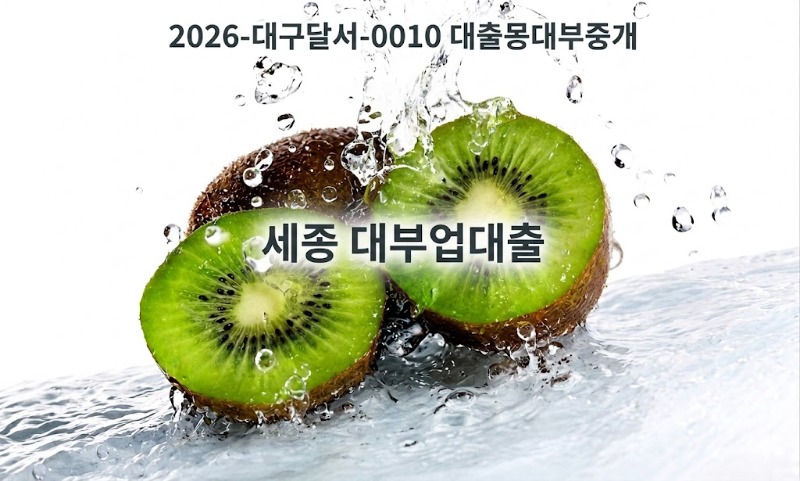 세종대부업.jpg